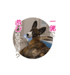 ぷりぷりうーたん(ときどき嵐と柊)（個別スタンプ：7）