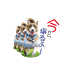 ぷりぷりうーたん(ときどき嵐と柊)（個別スタンプ：9）