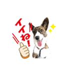 ぷりぷりうーたん(ときどき嵐と柊)（個別スタンプ：13）