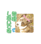ぷりぷりうーたん(ときどき嵐と柊)（個別スタンプ：14）