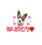 ぷりぷりうーたん(ときどき嵐と柊)（個別スタンプ：16）