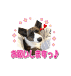 ぷりぷりうーたん(ときどき嵐と柊)（個別スタンプ：19）