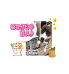 ぷりぷりうーたん(ときどき嵐と柊)（個別スタンプ：21）
