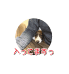 ぷりぷりうーたん(ときどき嵐と柊)（個別スタンプ：23）