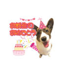 ぷりぷりうーたん(ときどき嵐と柊)（個別スタンプ：27）