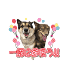 ぷりぷりうーたん(ときどき嵐と柊)（個別スタンプ：32）
