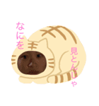 松尾と申します（個別スタンプ：1）