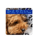 僕の好きな合言葉（個別スタンプ：5）