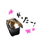 neco猫①（個別スタンプ：4）