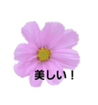 watawatayan style（個別スタンプ：5）