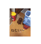 モコもこmoko（個別スタンプ：2）