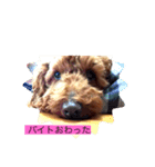 モコもこmoko（個別スタンプ：3）