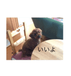 モコもこmoko（個別スタンプ：7）