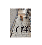 モコもこmoko（個別スタンプ：8）
