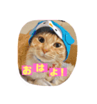 むーちゃんだらけなのら。（個別スタンプ：3）