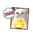 むーちゃんだらけなのら。（個別スタンプ：12）