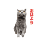 あまねーーーーーさん（個別スタンプ：1）