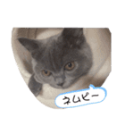 あまねーーーーーさん（個別スタンプ：7）