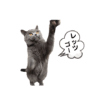 あまねーーーーーさん（個別スタンプ：11）