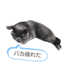 あまねーーーーーさん（個別スタンプ：14）