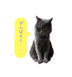 あまねーーーーーさん（個別スタンプ：16）
