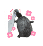sippoすたんぷ！（個別スタンプ：4）
