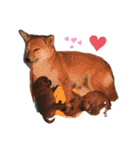 かきみほの柴犬スタンプ（個別スタンプ：21）
