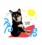 かきみほの柴犬スタンプ（個別スタンプ：38）
