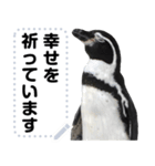 ペンギンのメッセージ！ほほえみフレンズ（個別スタンプ：14）