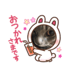 琉愛,琉李,琉輝,楓翔オリジナルスタンプ（個別スタンプ：17）