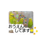 愛しのインコ・優しい言葉（個別スタンプ：18）