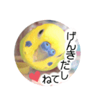愛しのインコ・優しい言葉（個別スタンプ：20）