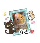 愛しのインコ・優しい言葉（個別スタンプ：32）