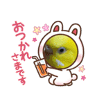 愛しのインコ・優しい言葉（個別スタンプ：34）