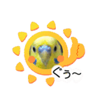 愛しのインコ・優しい言葉（個別スタンプ：37）