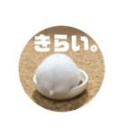 ハムスターのぽっちゃん（個別スタンプ：14）