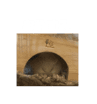 ハムスターのぽっちゃん（個別スタンプ：15）
