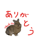 うさぎキラ✨3（個別スタンプ：5）
