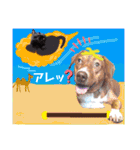 ようこ＆くろすけ part2（個別スタンプ：1）