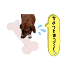 ようこ＆くろすけ part2（個別スタンプ：4）