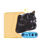 ようこ＆くろすけ part2（個別スタンプ：8）