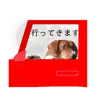 ようこ＆くろすけ part2（個別スタンプ：14）