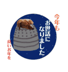 ようこ＆くろすけ part2（個別スタンプ：30）