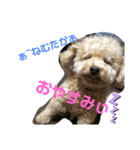 はっちゃん❤（個別スタンプ：1）