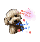 はっちゃん❤（個別スタンプ：3）