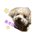 はっちゃん❤（個別スタンプ：4）