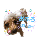 はっちゃん❤（個別スタンプ：7）