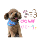 はっちゃん❤（個別スタンプ：8）