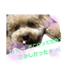 はっちゃん❤（個別スタンプ：11）