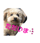 はっちゃん❤（個別スタンプ：12）